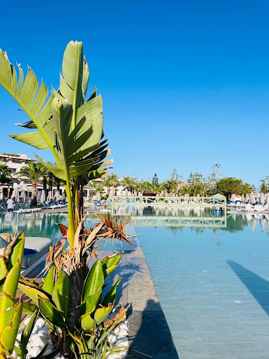 Pool Iberostar Selection Creta Marine