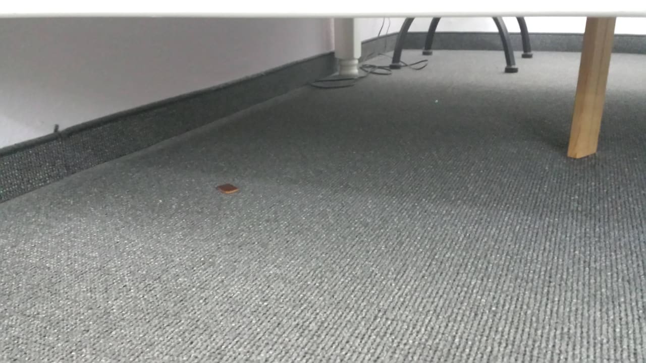 Keks der vor mir dort wohnte und noch immer wohnt AKZENT Strandresidenz Villa Verdi