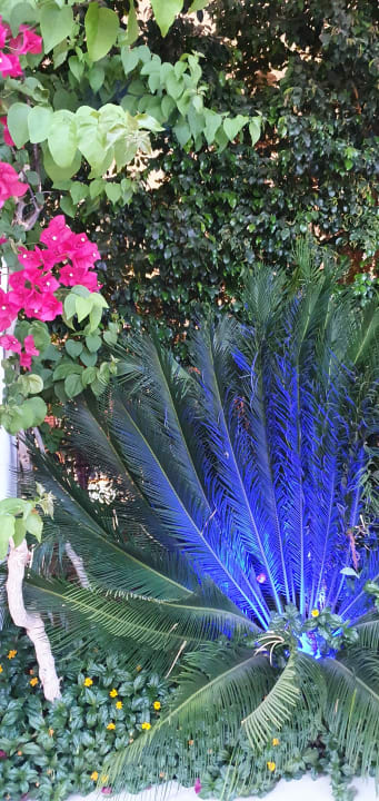 Gartenanlage Belek Beach Resort Hotel