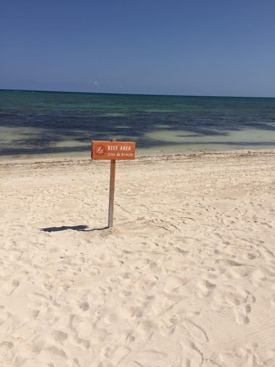Strand Dreams Tulum Resort & Spa