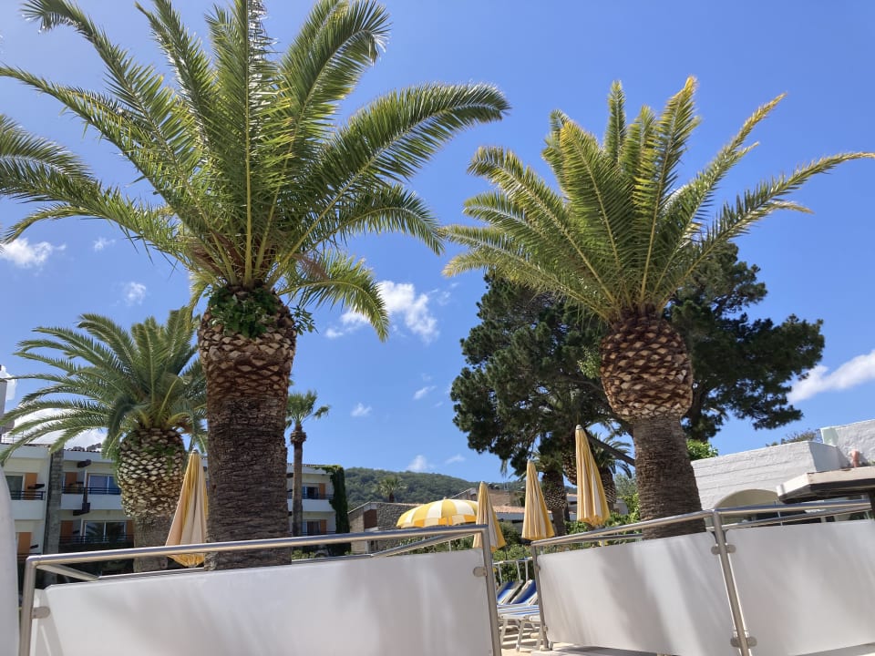 Pool Aldiana Club Rocca Nettuno Calabria