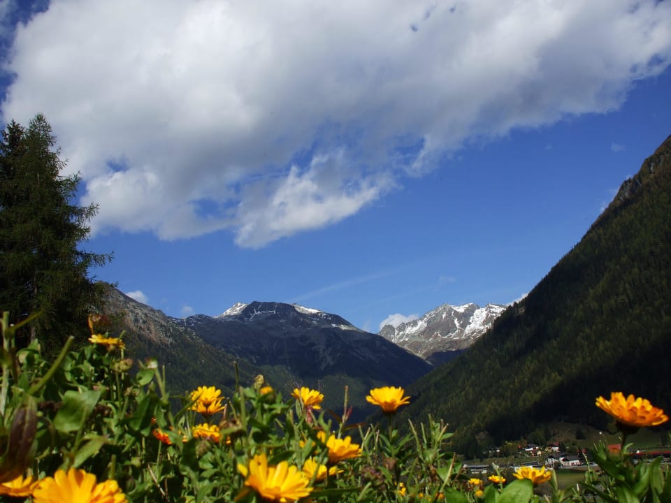 Blick vom Thalerhof Richtung Ortszentrum Pension Thalerhof