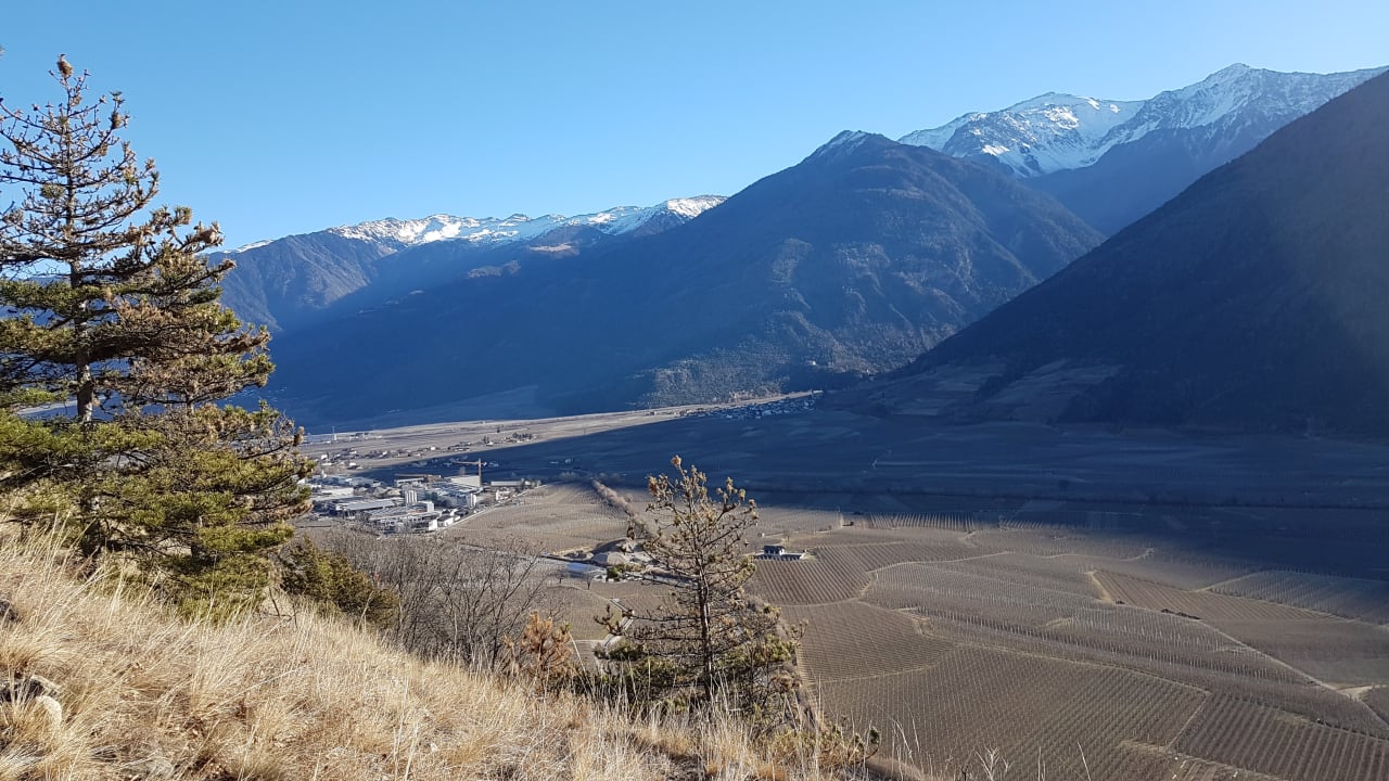 Ausblick Wanderhotel Vinschgerhof
