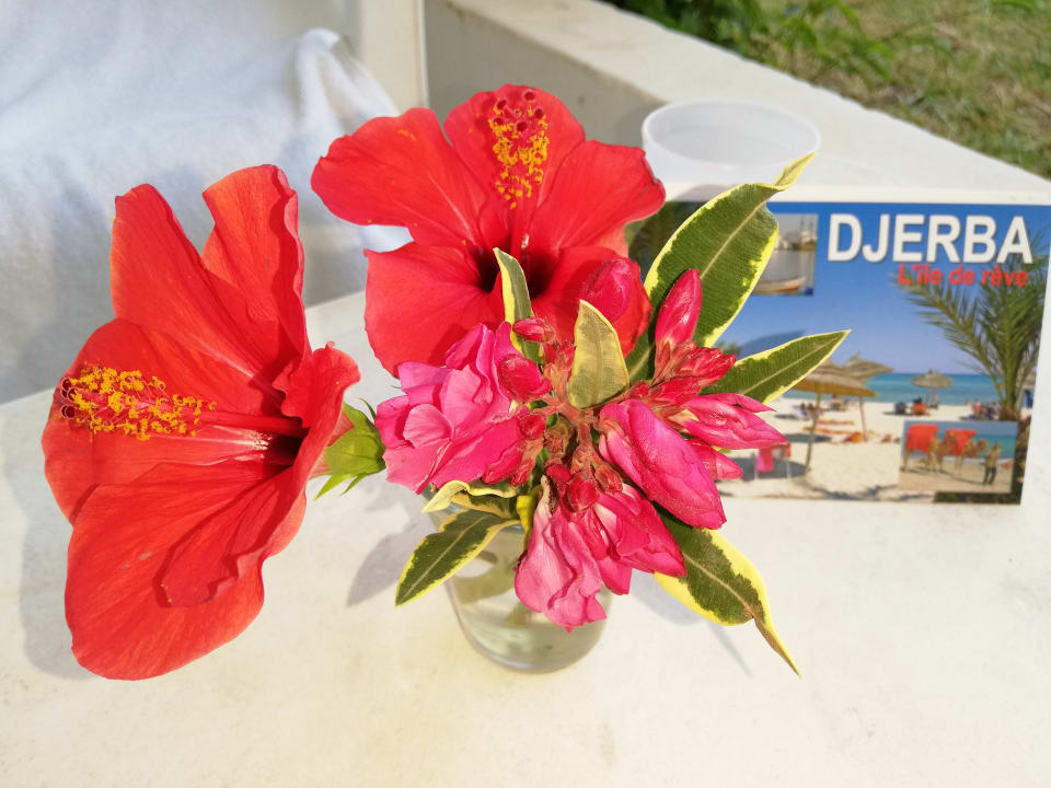 Sonstiges Golf Beach Hotel & Spa