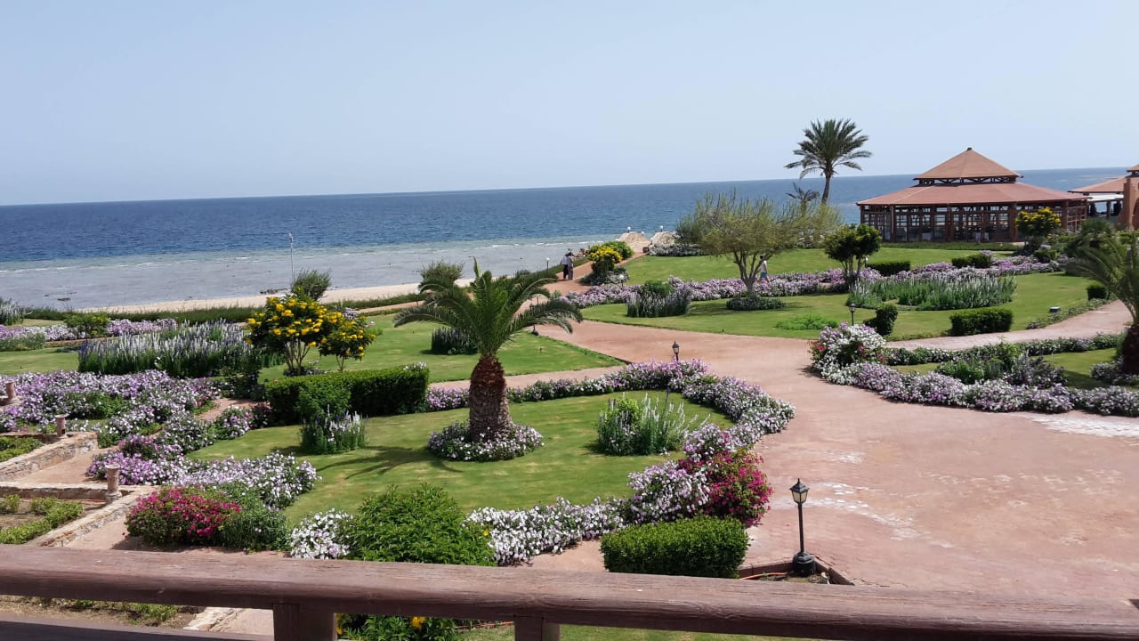 Blick von Zimmer 1218 Three Corners Equinox Beach Resort