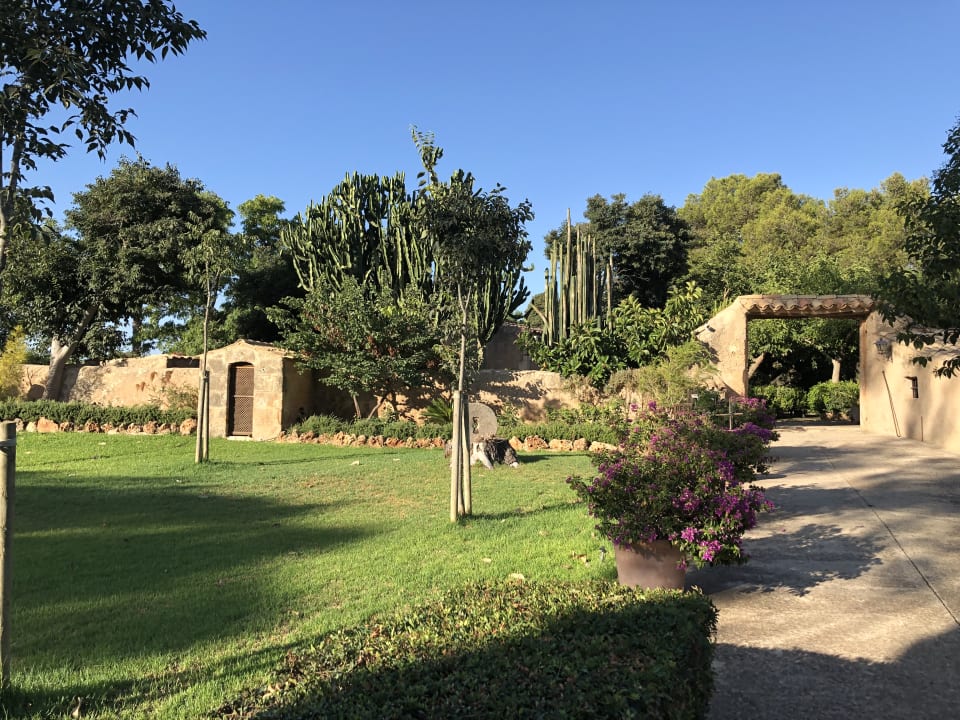 Gartenanlage Finca Sa Torre de Santa Eugenia - Adults only