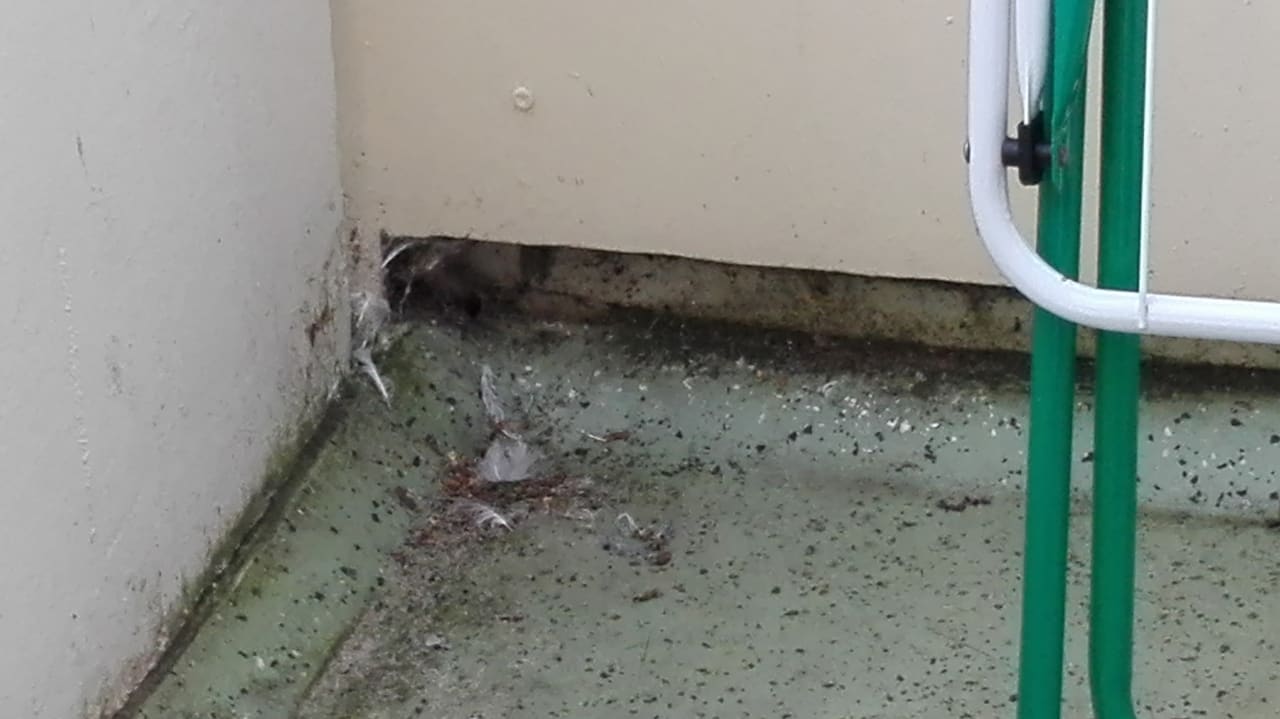 Sonstiges Ferienwohnungen Ferienpark Weissenhäuser Strand