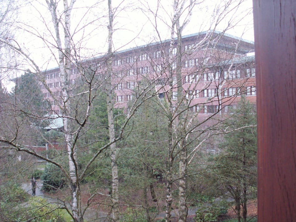 Von unserem Zimmer zum Haupthaus Disney's Sequoia Lodge