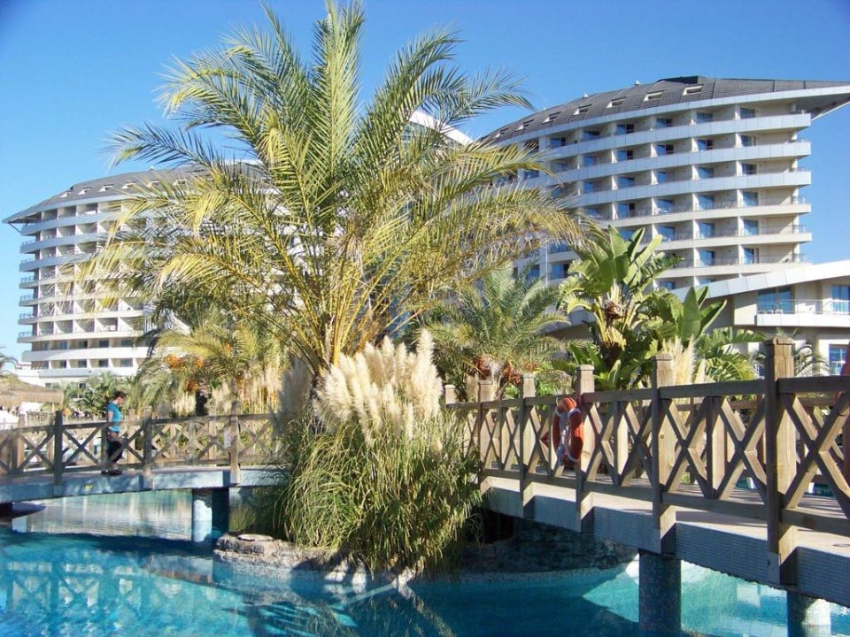Royal Wings Royal Wings Hotel