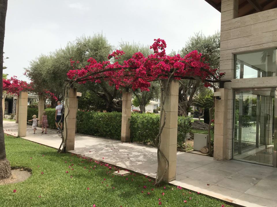 Gartenanlage Playa Garden Selection Hotel & Spa