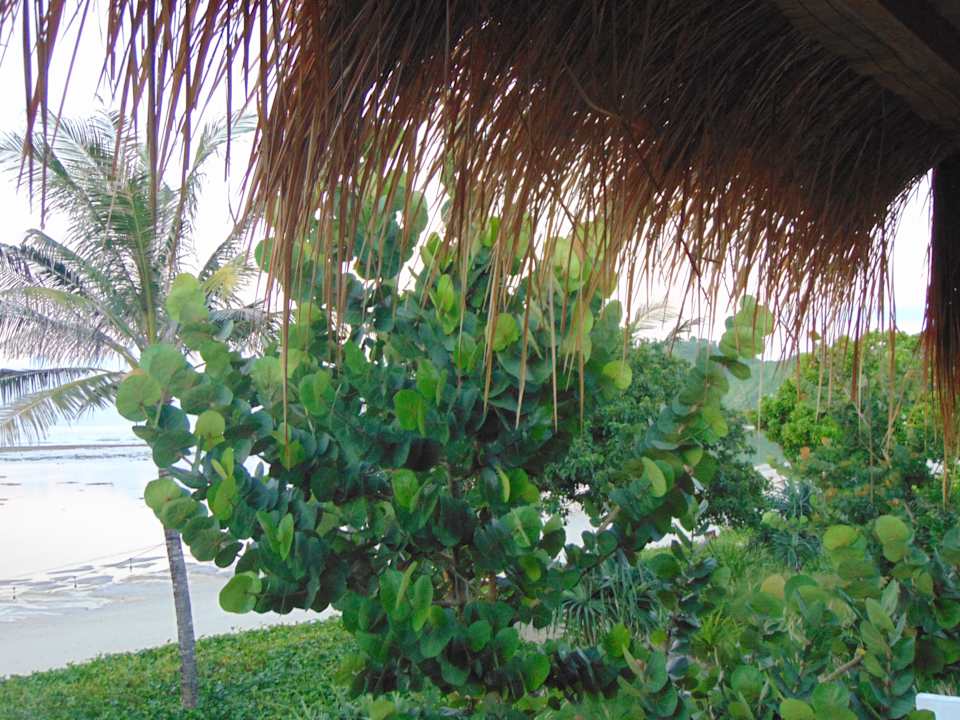 Gartenanlage Amber Lombok Beach Resort