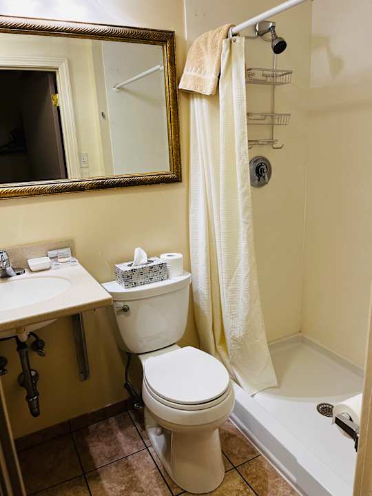 Zimmer Oasis Guest House