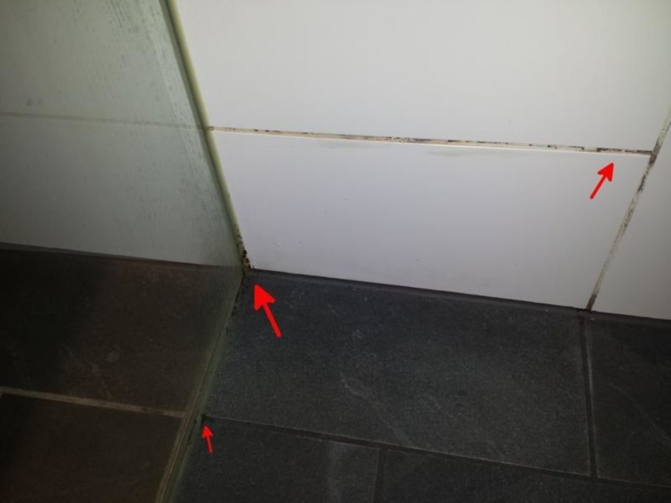 Schimmel im Bad Four Points by Sheraton Panoramahaus Dornbirn