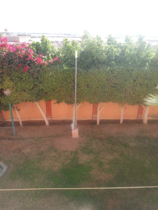 W-Lan vor dem Zimmer Pickalbatros Aqua Park Resort - Hurghada