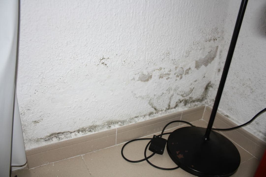 Schimmel an der Fensterwand Flipflop Cala Romantica