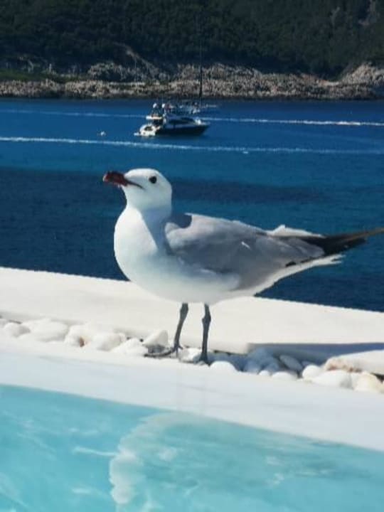 Pool Mar Azul PurEstil Hotel & Spa