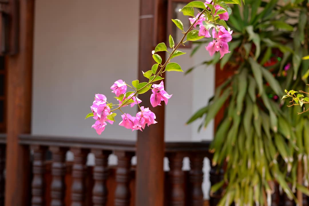 Ausblick Eureka Villas Siem Reap