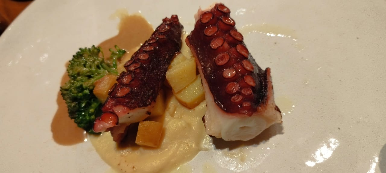 Gastro Acanthus Cennet Barut Collection