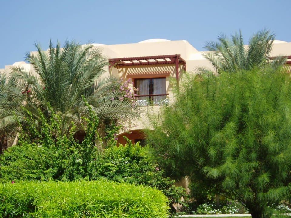 Zimmer Steigenberger Coraya Beach - Adults only