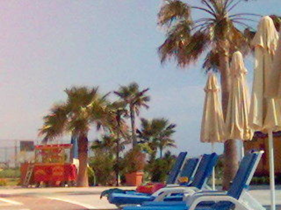 pool Royal Atlantis Beach Hotel