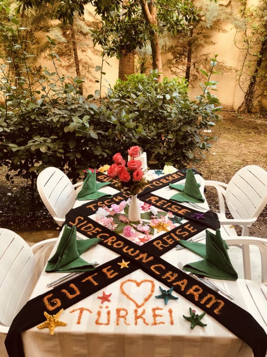 Gastro Well Palace Side