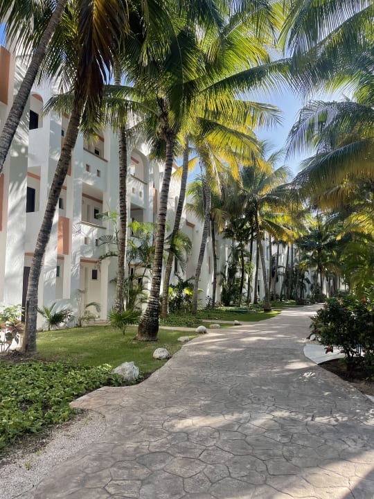 Gartenanlage TUI BLUE El Dorado Seaside Suites