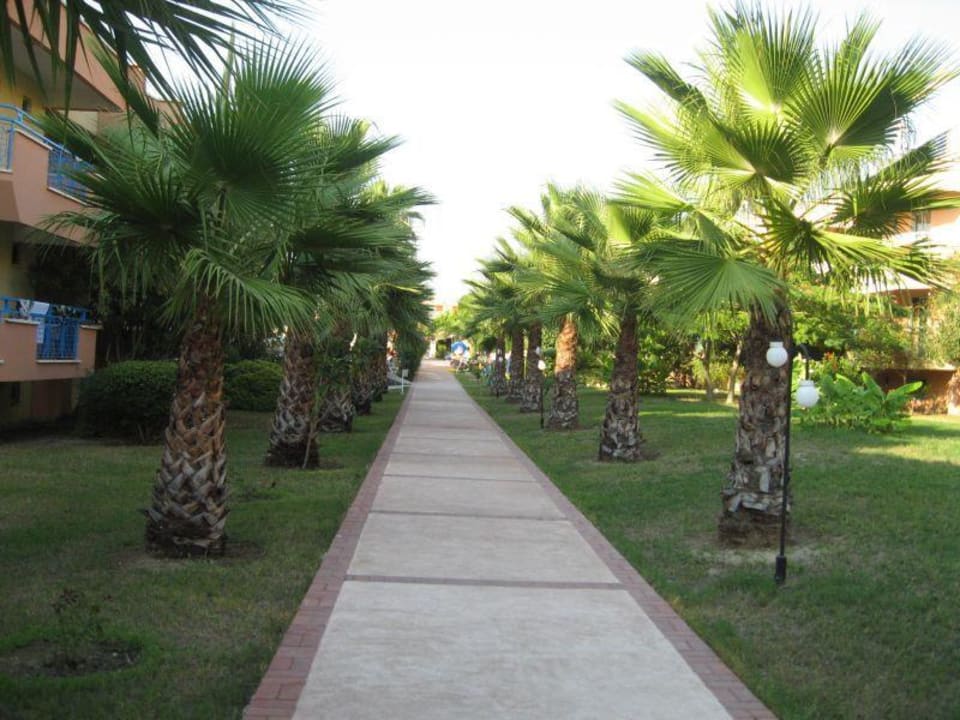 Weg zur Straße  Dream Family Club