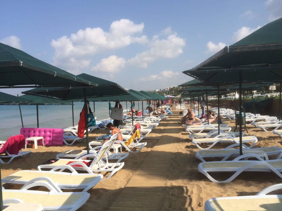 Strand am Morgen My Home Resort