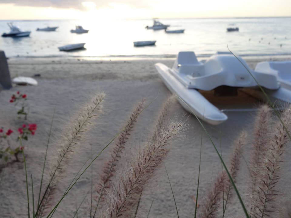 Blick vom Restaurant zum Meer Pearle Beach Resort & Spa