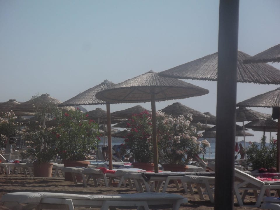 Super Liegen Hotel Calypso Beach