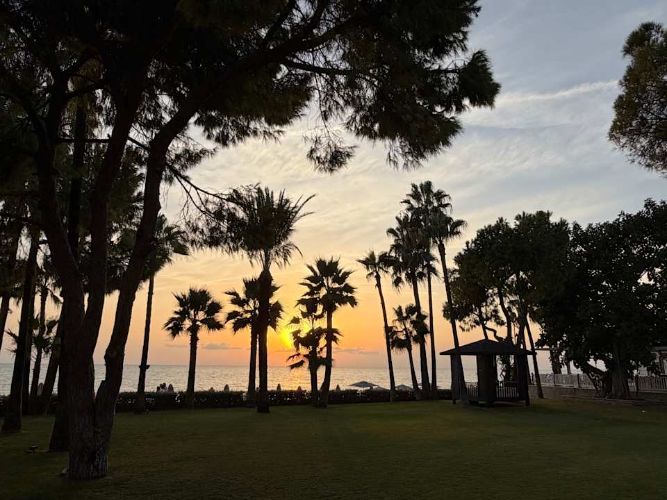 Gartenanlage Acanthus Cennet Barut Collection