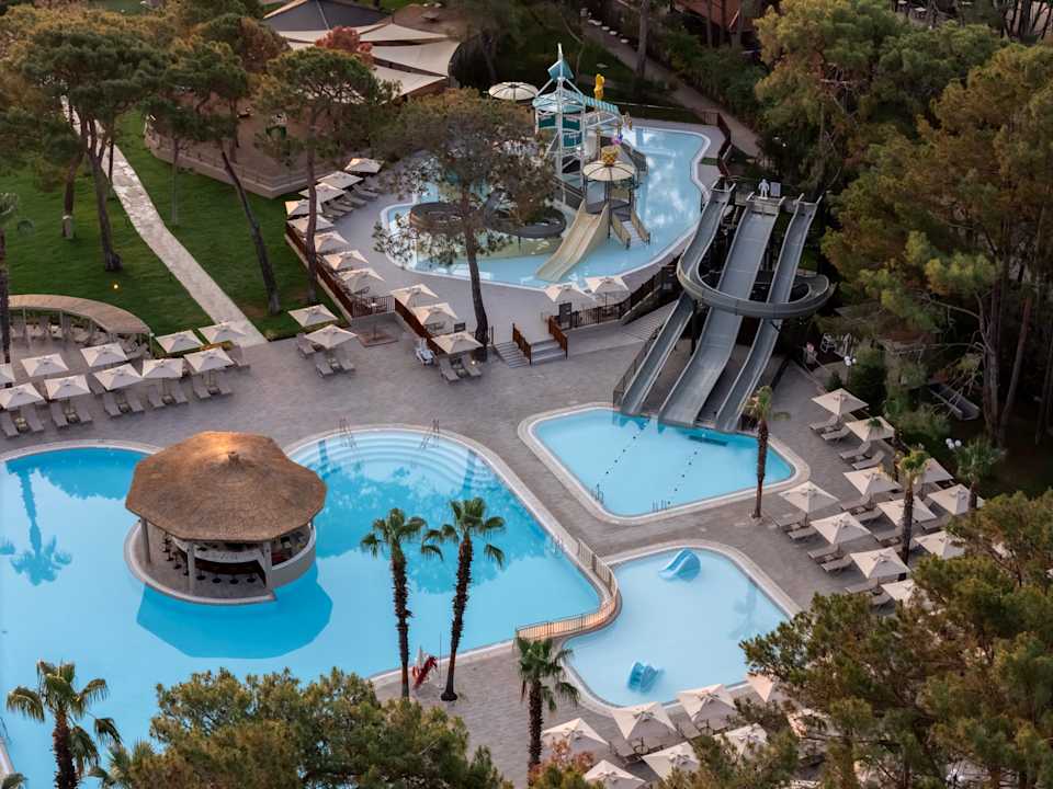 Pool Balmy Foresta