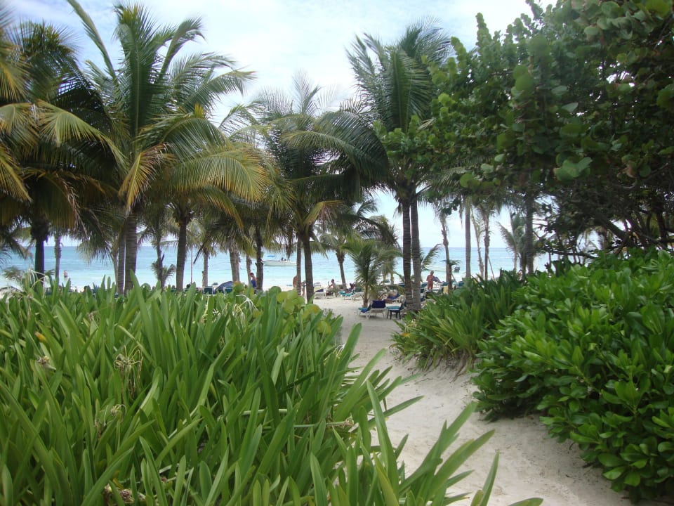 Hotel Catalonia Playa Maroma Catalonia Playa Maroma