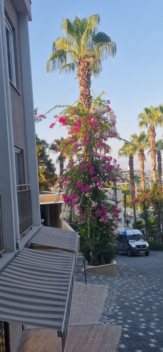 Gartenanlage Club Sidelya Hotel