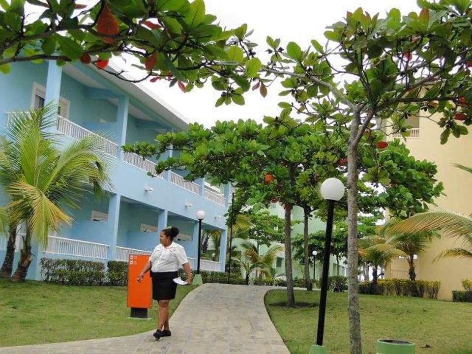 Chef-Hausdame Senator Puerto Plata Hotel