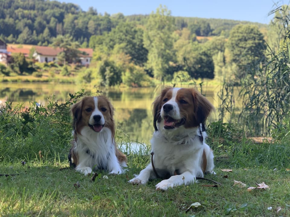 Ausblick Seehotel Gut Dürnhof