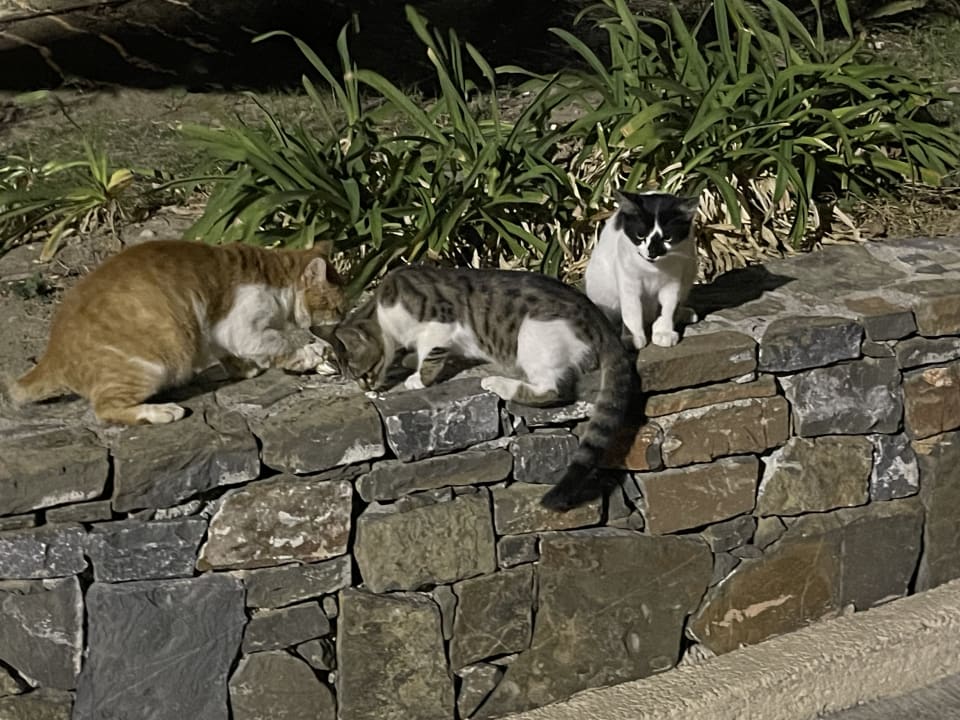 Sonstiges Lindos Imperial Resort & Spa