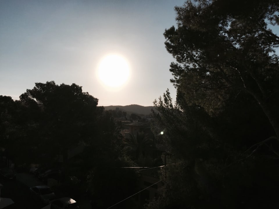 Aufnahmen von Zimmer 366 Valentin Somni Hotel & Suites