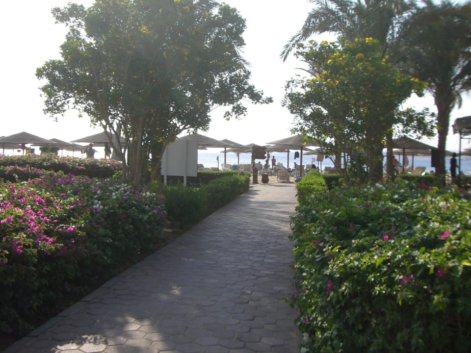 Sehr viel Grün überall Fort Arabesque Resort, Spa & Villas
