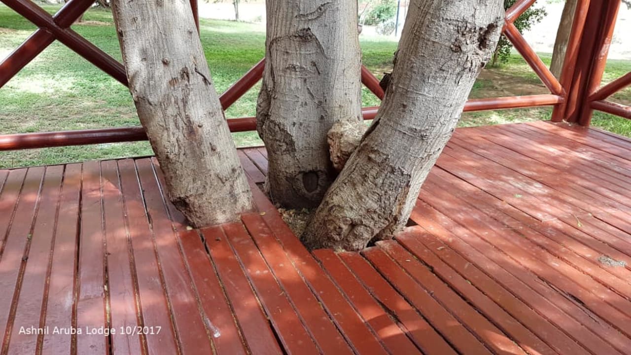 Ashnil Aruba Lodge 10/2017 Ashnil Aruba Lodge