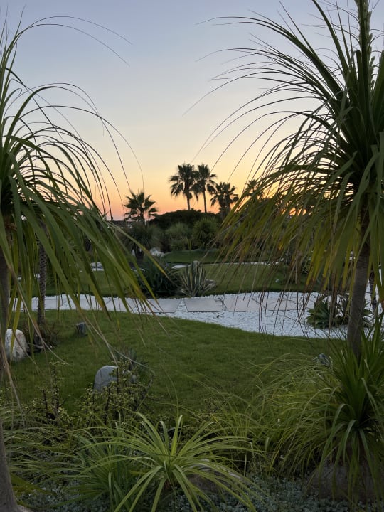 Außenansicht Paloma Finesse