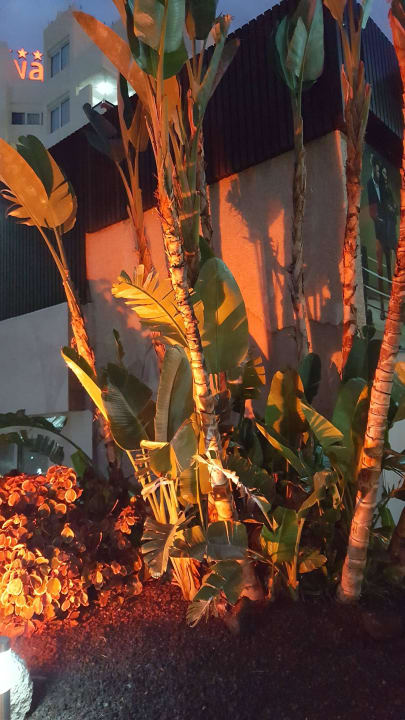 Beleuchtung bei Nacht  Alexandre Hotel Troya