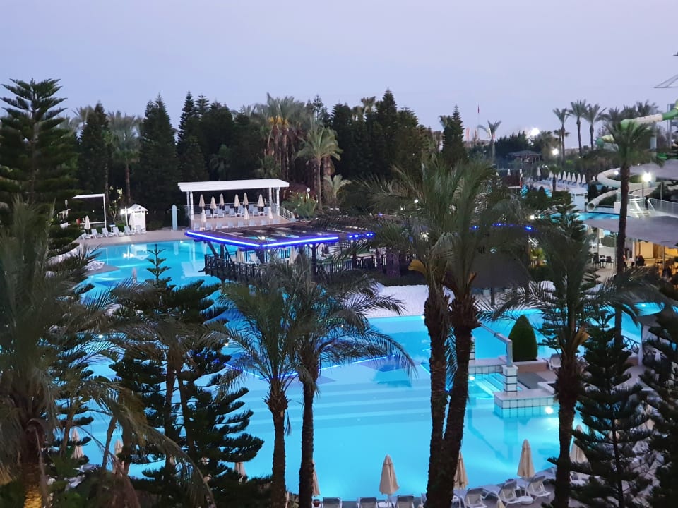 Pool Hotel Delphin Diva