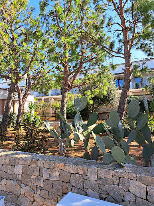 Gartenanlage Canne Bianche Lifestyle Hotel