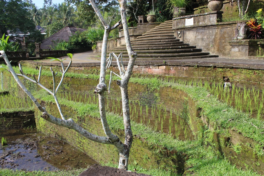 . The Payogan Villa Resort & Spa