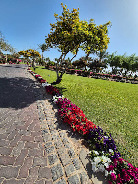 Gartenanlage Steigenberger Aqua Magic