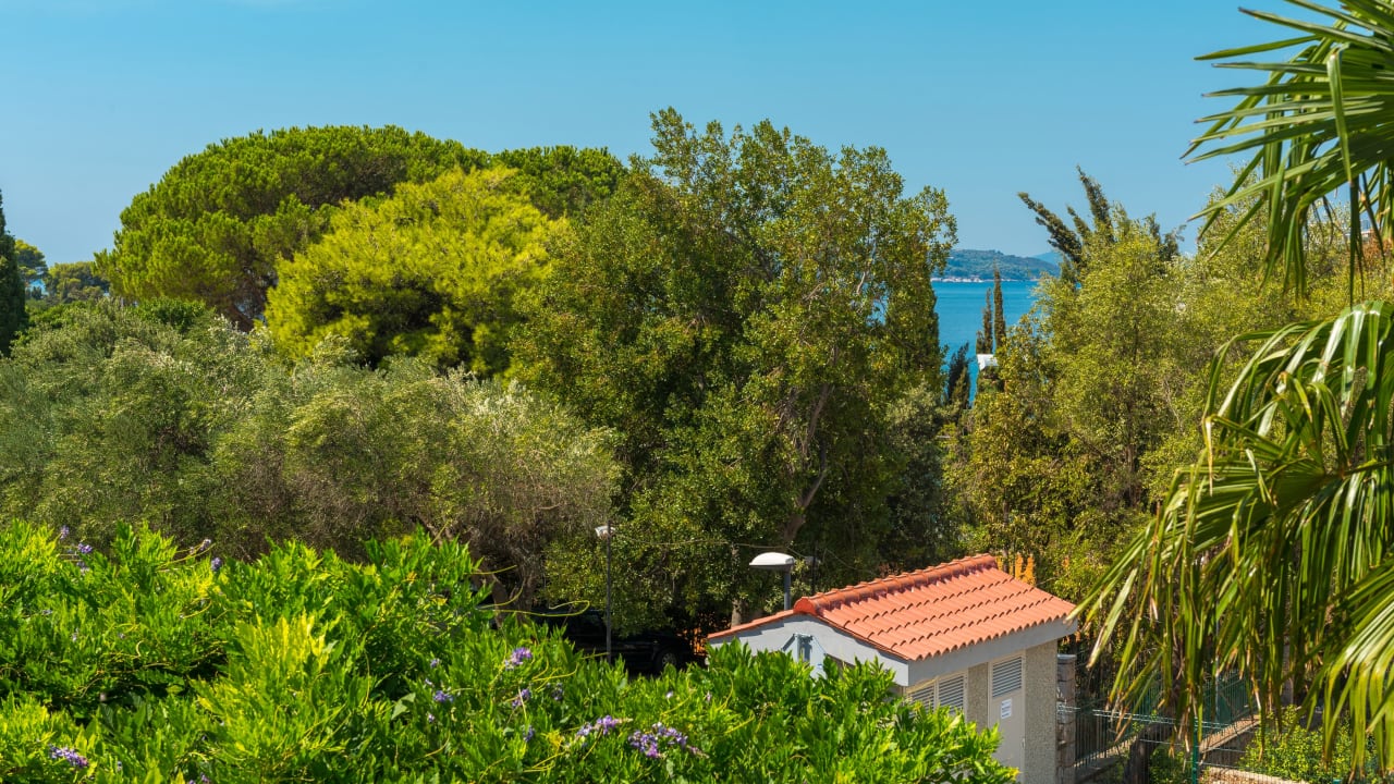 Ausblick Hotel Komodor