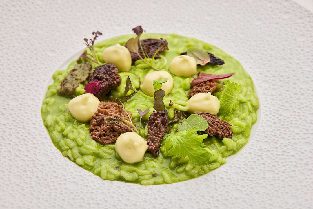 Gastro Villa Principe Leopoldo