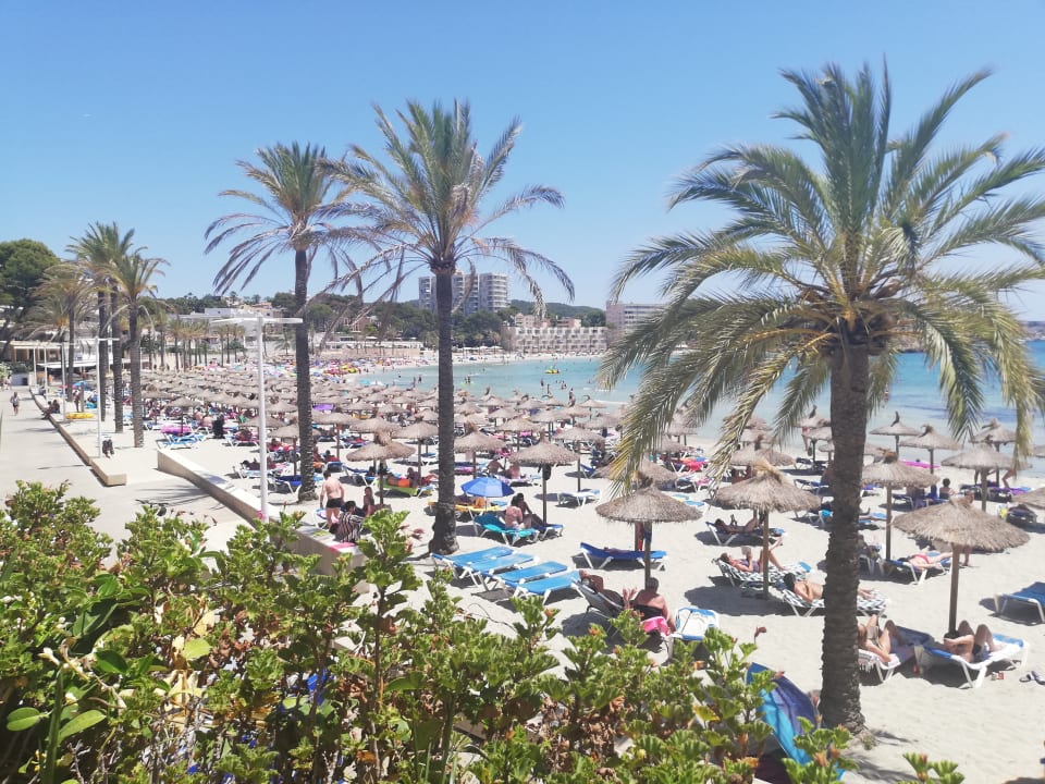 Strand BQ Bulevar Paguera - Adults only