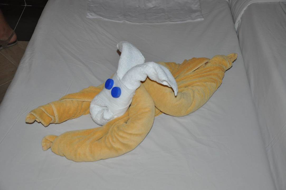 Pokój Pickalbatros Alf Leila Wa Leila Resort - Neverland Hurghada